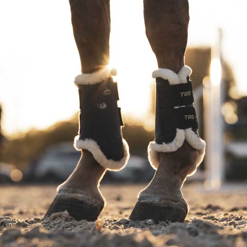 Guêtres antérieurs TRB Save The Sheep Veredus