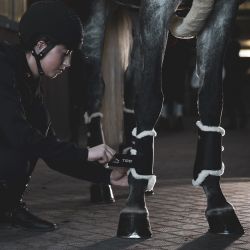 Guêtres antérieurs TRB Save The Sheep Veredus