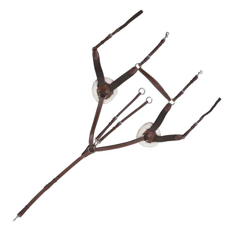 Collier de chasse Canter 5 points