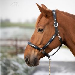 Licol Polo HFI