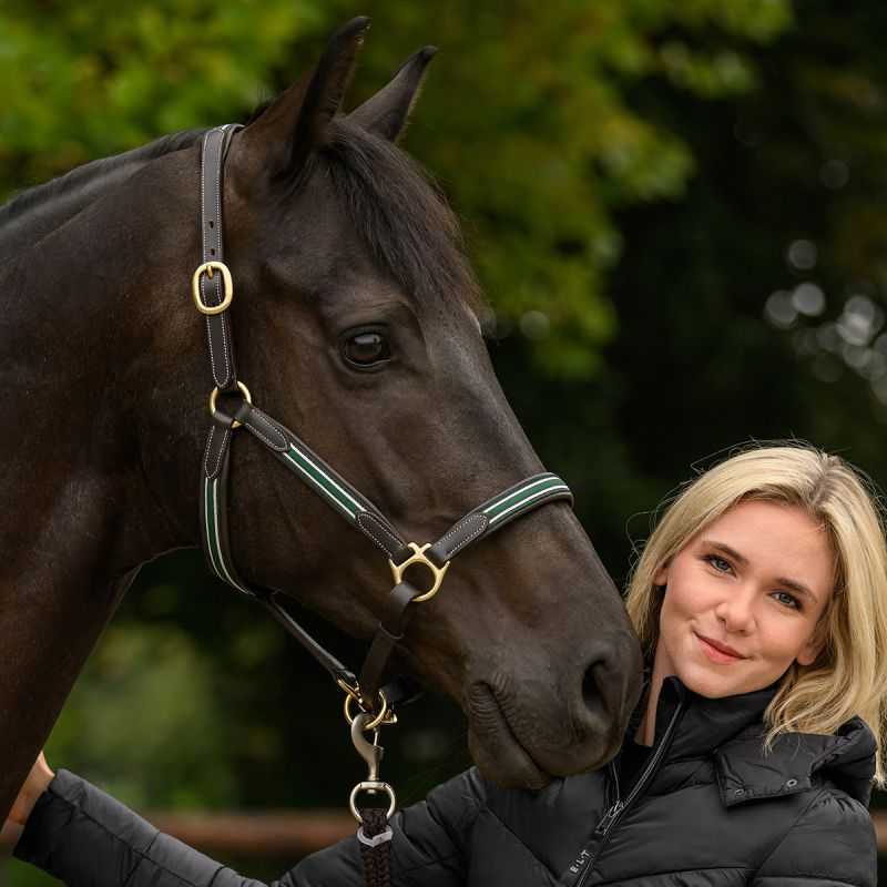 Licol cuir Oxford Waldhausen