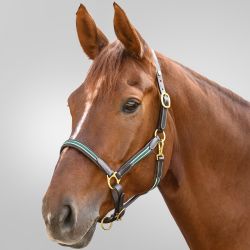 Licol cuir Oxford Waldhausen