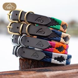 Collier pour Chien HFI