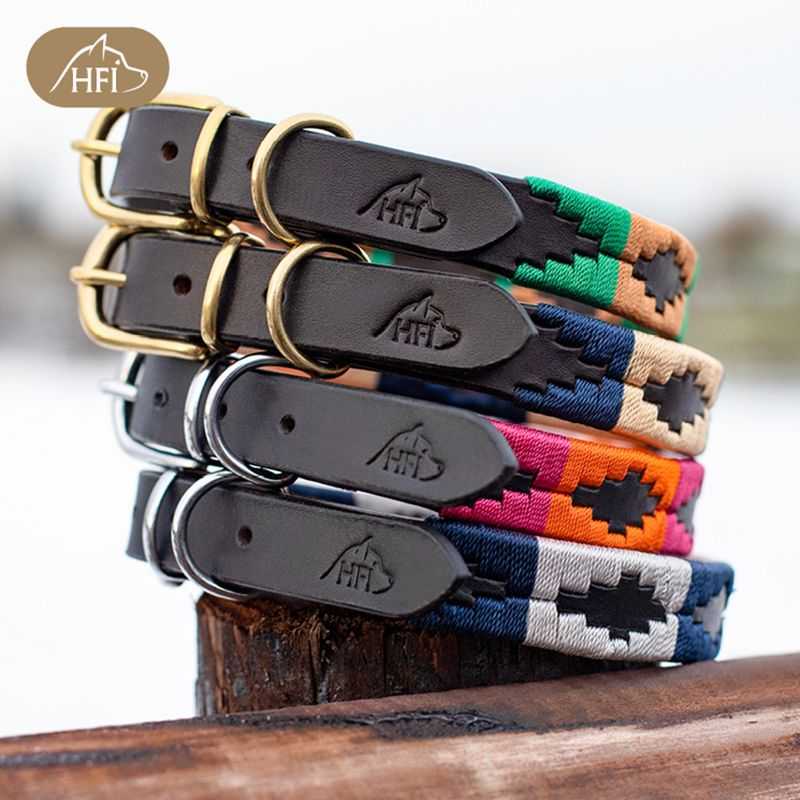 Collier pour Chien HFI