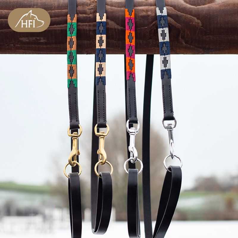 Laisse Polo pour Chien HFI