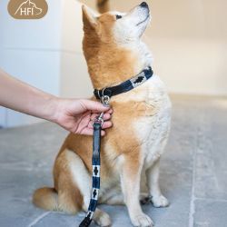 Laisse Polo pour Chien HFI