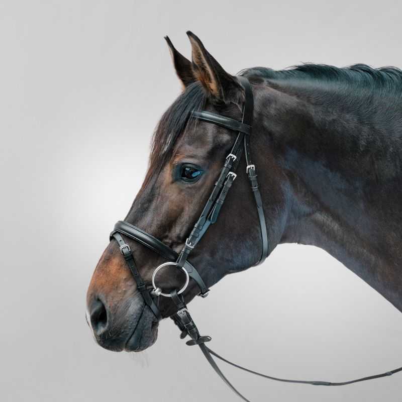 Bridon Lifestyle Star