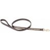 Laisse pour chien Clincher T de T