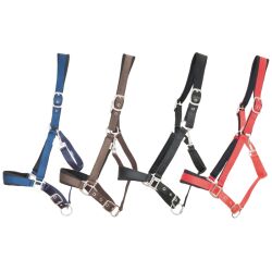 Licol satiné doublé avec longe T de T