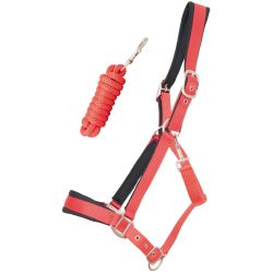 Licol satiné doublé avec longe T de T