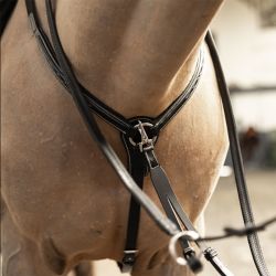 Collier de Chasse Arezzo HFI