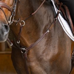 Collier de Chasse Arezzo HFI