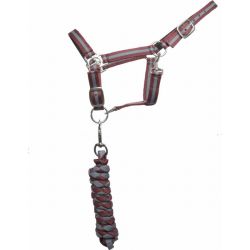 Licol doublé + longe américaine T de T