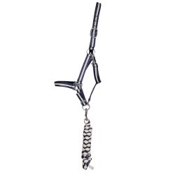 Licol doublé + longe américaine T de T