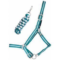 Licol doublé + longe américaine T de T