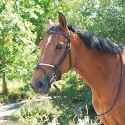 Muserolle corde et cuir T de T