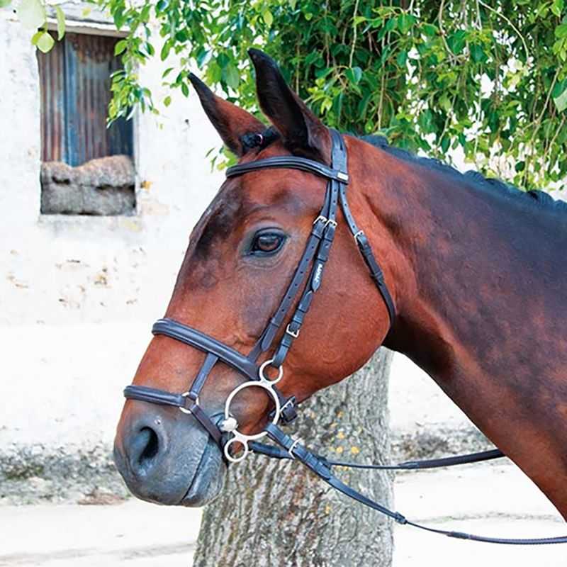 Muserolle mixte française-allemande T de T