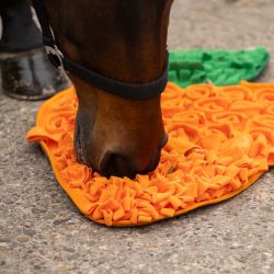 Tapis de fouille pour chevaux QHP