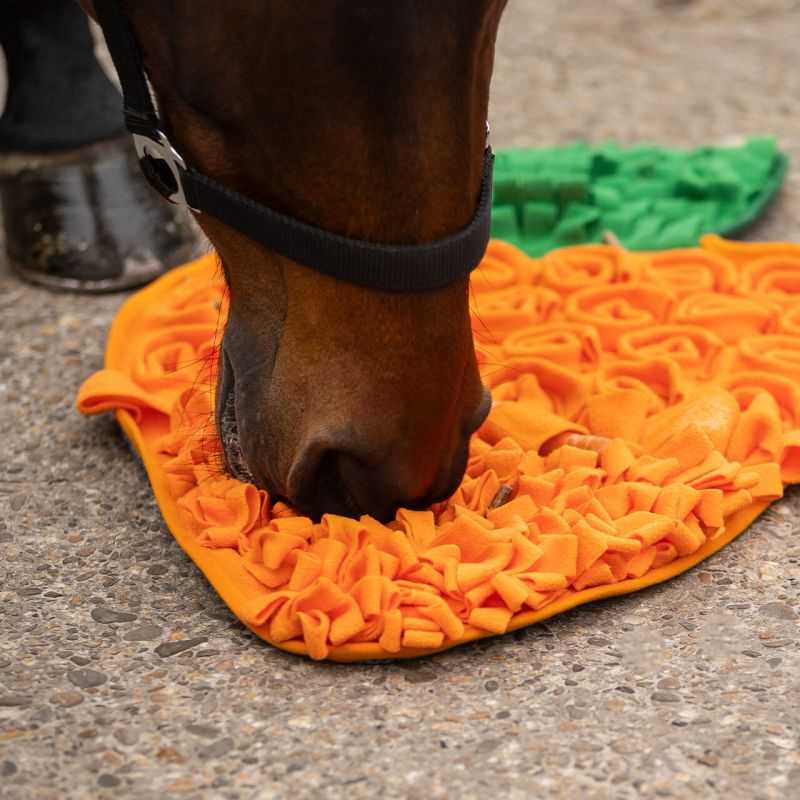 Tapis de fouille pour chevaux QHP