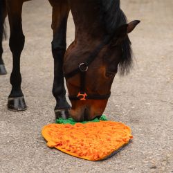 Tapis de fouille pour chevaux QHP