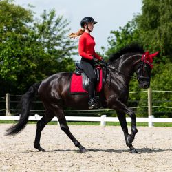 Tapis de selle Oakleigh QHP