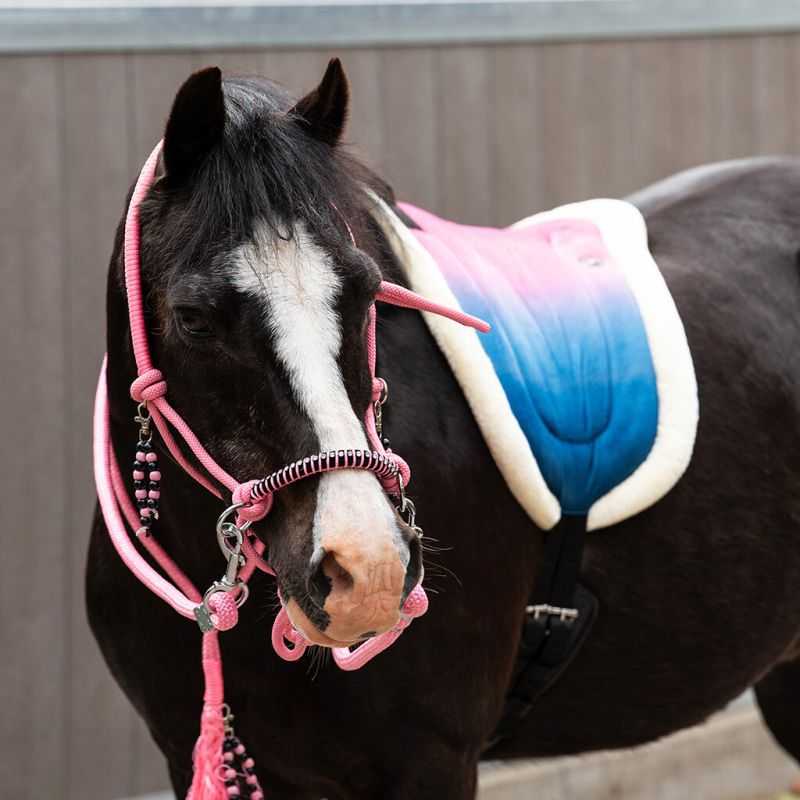 Tapis de monte à cru Rosalynn QHP
