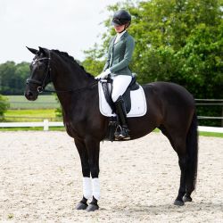 Veste de concours femme Noven QHP