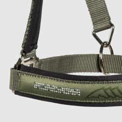 Licol et Longe Esdino Equiline SS26