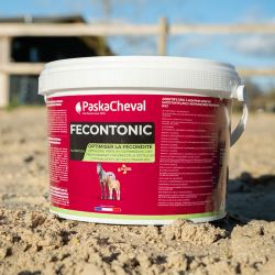 Fecontonic Paskacheval