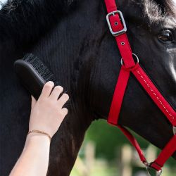 Bouchon Oakleigh QHP