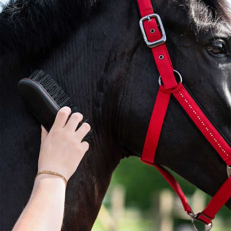 Bouchon Oakleigh QHP