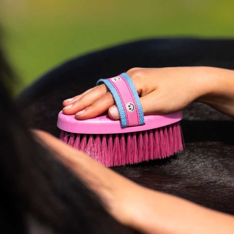 Brosse douce Rosalynn QHP