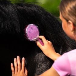 Brosse à crins Rosalynn QHP