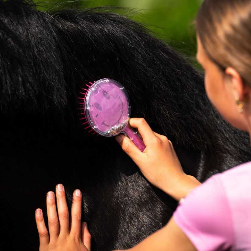 Brosse à crins Rosalynn QHP