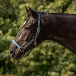 Ensemble licol + longe Collection QHP