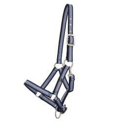 Licol poulain Collection QHP