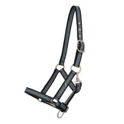 Licol poulain Collection QHP