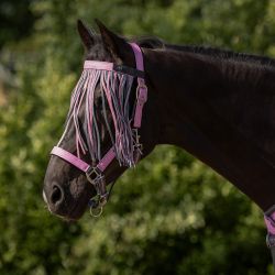 Frontal chasse-mouches Collection QHP