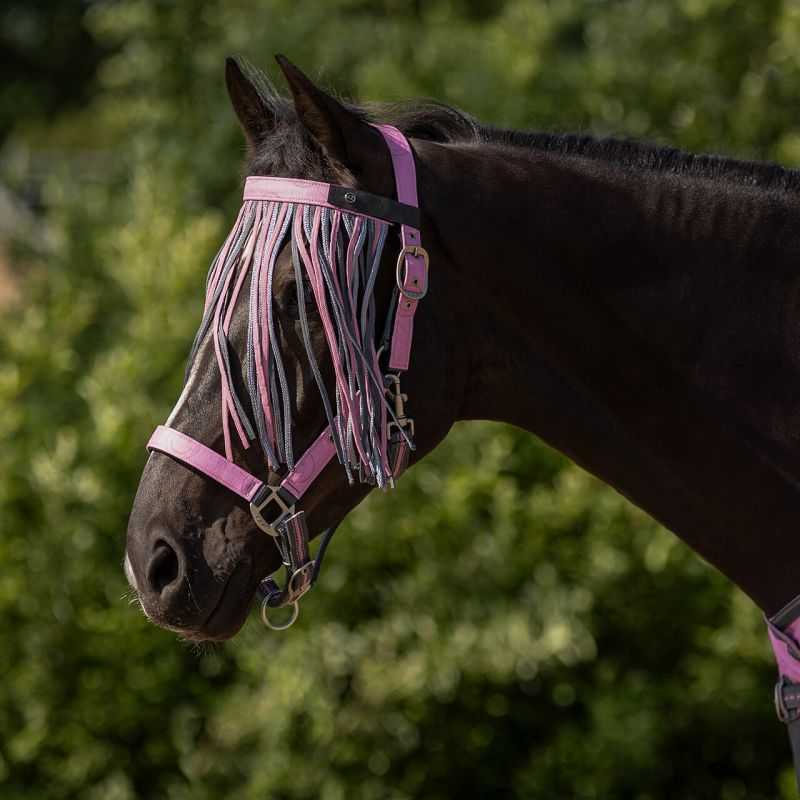 Frontal chasse-mouches Collection QHP