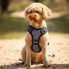 Harnais pour chien Collection QHP