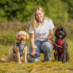 Harnais pour chien Collection QHP