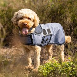 Couverture pour chien Collection QHP