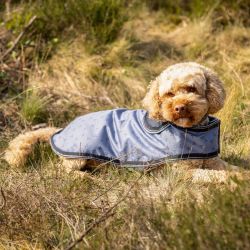 Couverture pour chien Collection QHP