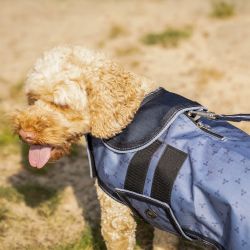 Couverture pour chien Collection QHP