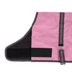 Couverture poulain Collection QHP