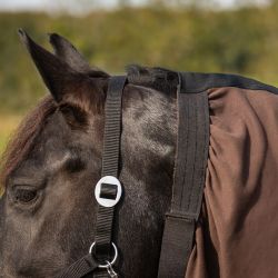 Cou anti-eczema Big Neck QHP