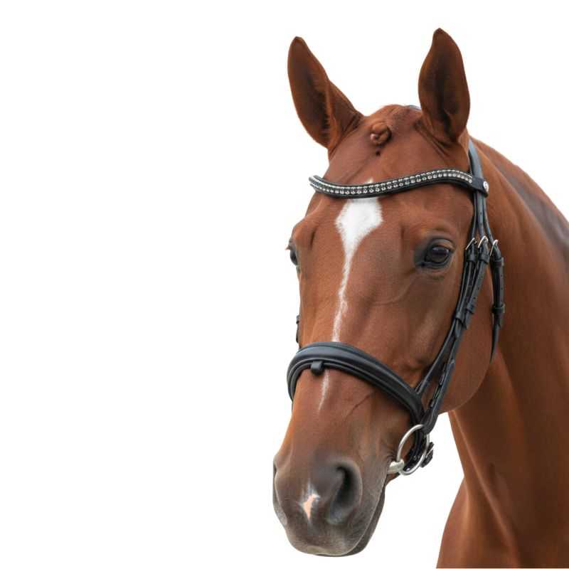 Bridon de dressage Totilas Canter