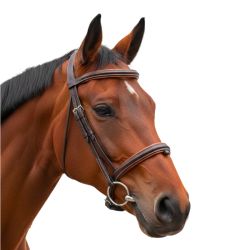 Bridon Vagabond Canter