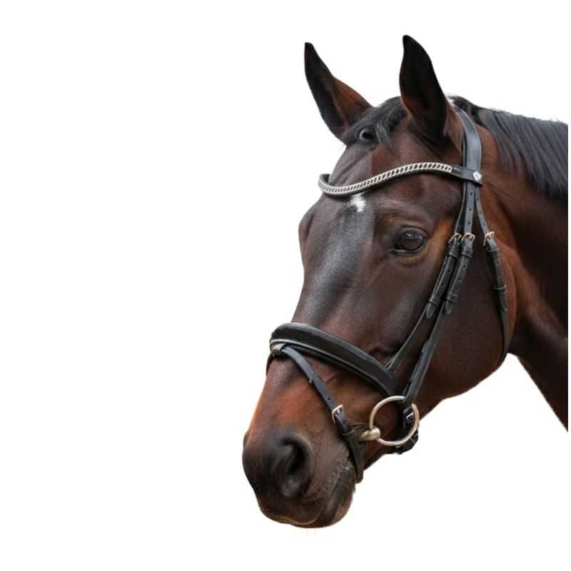 Bridon Valegro Canter