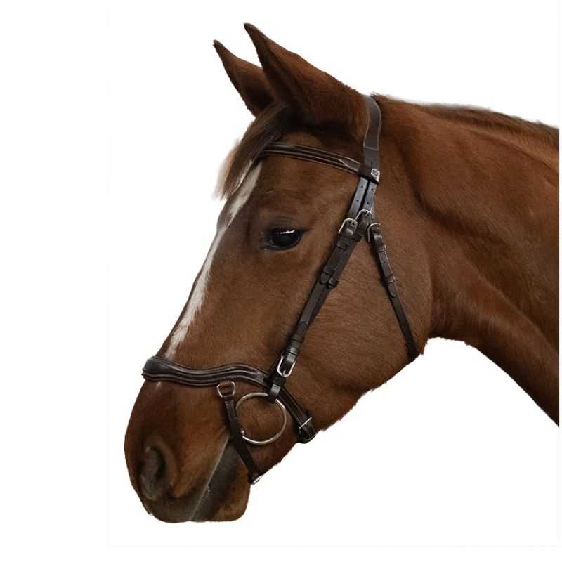 Bridon anatomique Cayman Canter